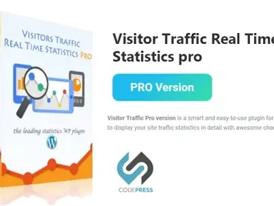 Visitor Traffic Real Time Statistics pro v11.1